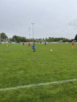 IMG_0050_original