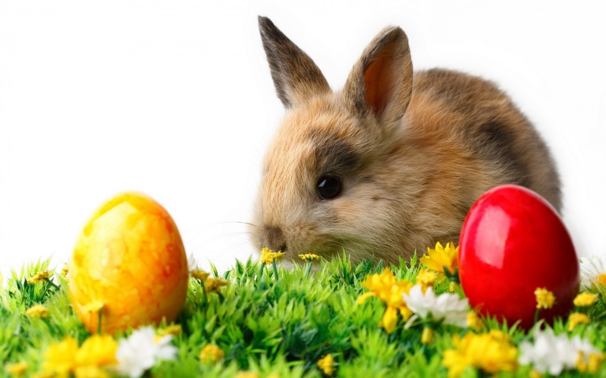 Ostern