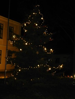 DSCN3192